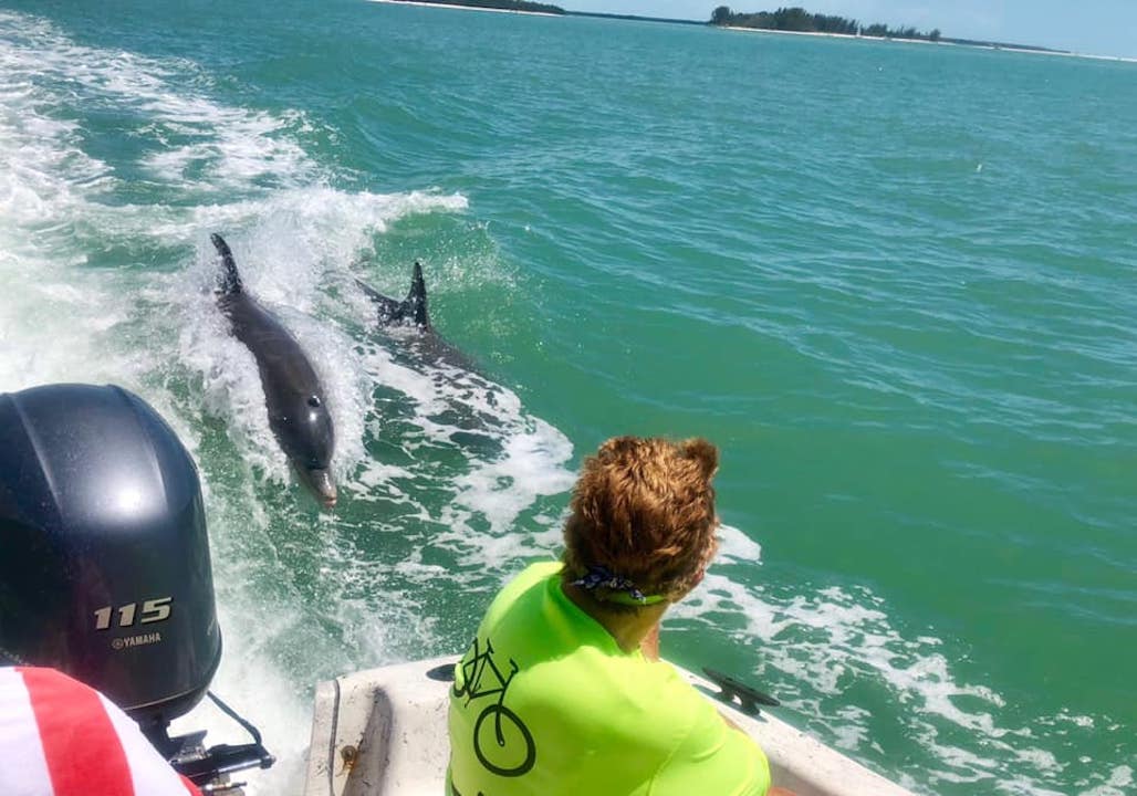 Two dolphins riding the boat's wake